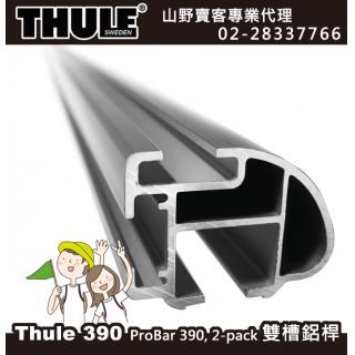 【山野賣客】 Thule 390 都樂 雙槽鋁桿120公分 Thule Heavy-Duty Bar 雙槽鋁合金強化桿