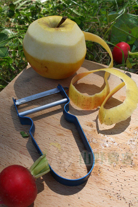 瑞士SWISS ADVANCE 輕量蔬果刨刀 削皮刀 SW804500